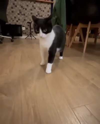 How dare you?