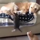 There's room for everybody