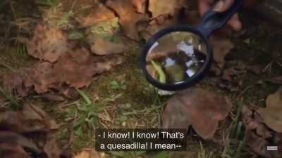 The gold you find on wife swap
