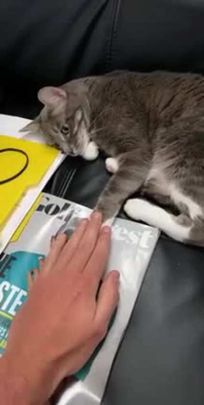 Tap for Tap with my work from home colleague