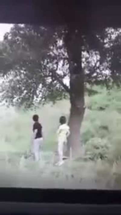 could have checked properly