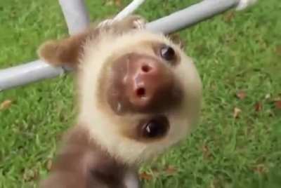 aaaaaa AAAA