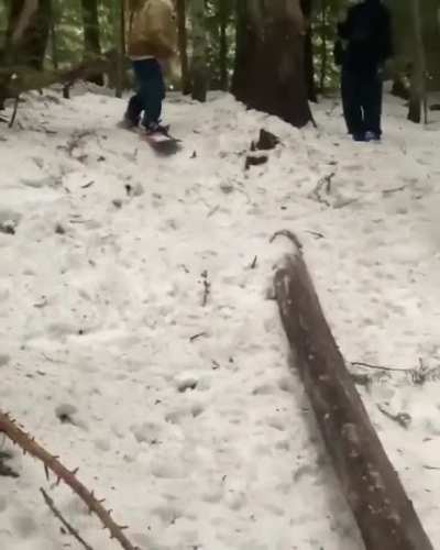 Trying to rail slide a log