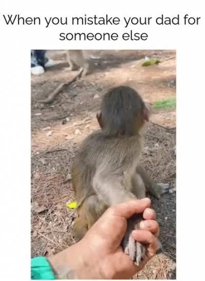 The end tho