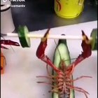 Livin' like Larry