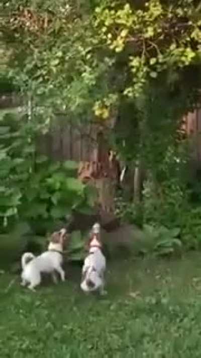 Maybe Maybe Maybe