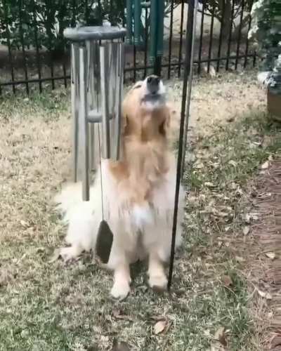 Cute