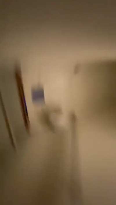 Man and dog narrowly survive tornado