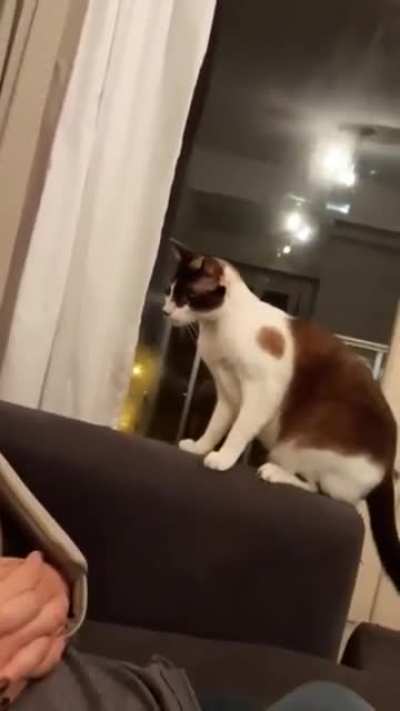 BOO!
