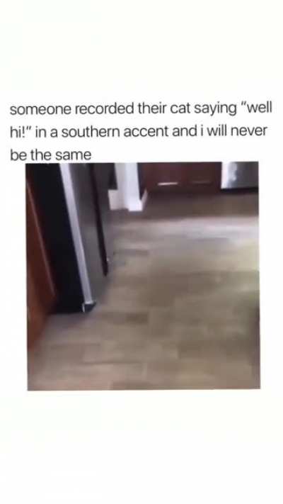 well, Hello there