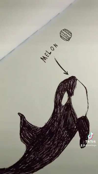 Did you know about killer whales ?