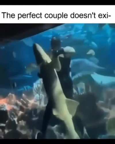 The perfect couple