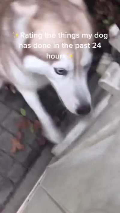 Title.