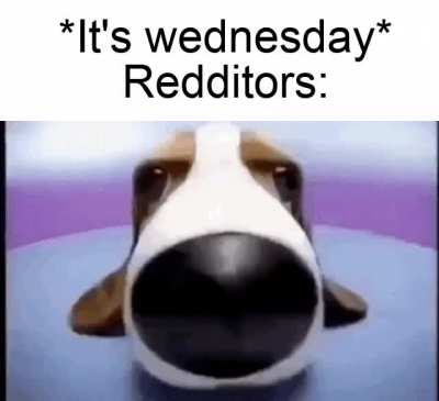 Wednesday is soon my dudes!
