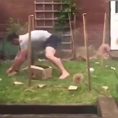 This rabbit knows how to mess with hoomans?