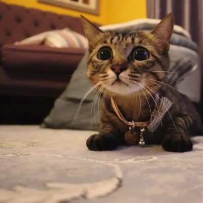 When I finally get to see my wife after being gone to work all week.