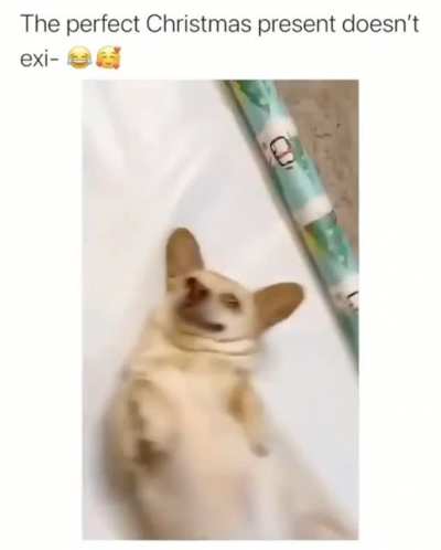 Maybe maybe maybe
