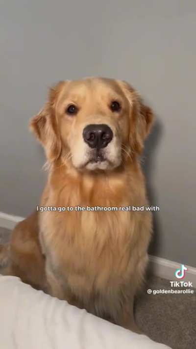 Why are you up?