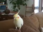 Feel the beat, baby!