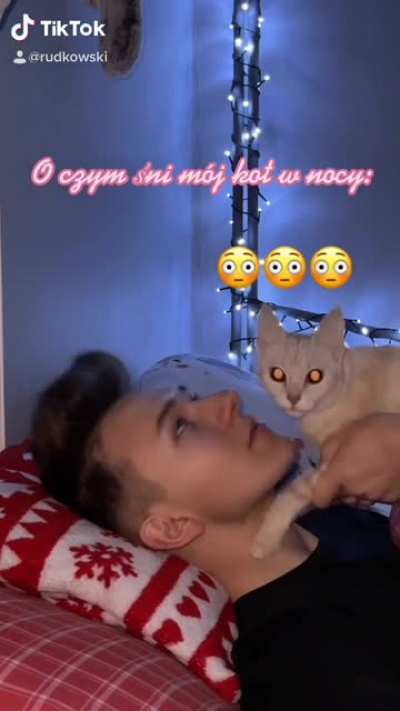 What is your cat dreaming about... ??