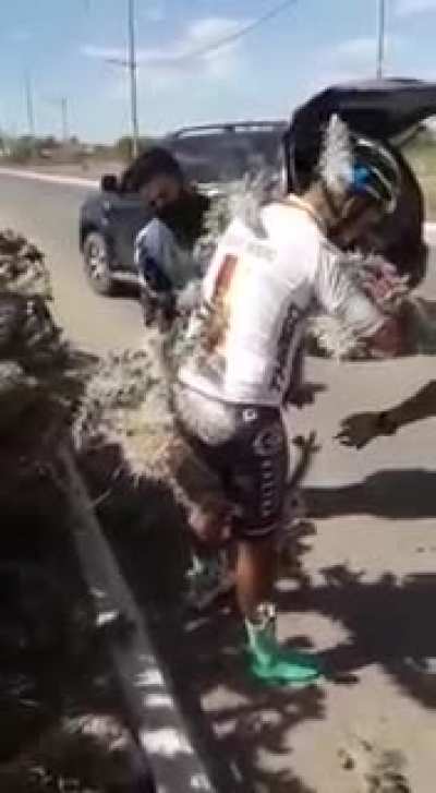 Go ciclying they said... Get in touch with nature...