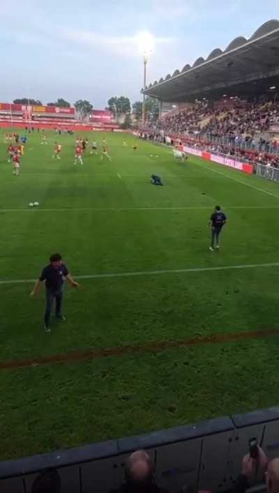 Bringing a bull to a football match