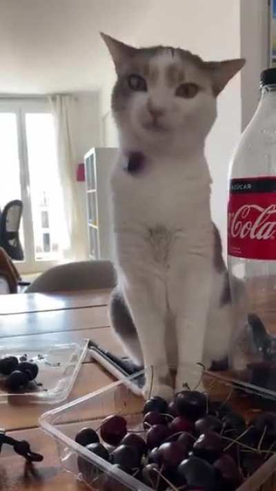 To eat a cherry