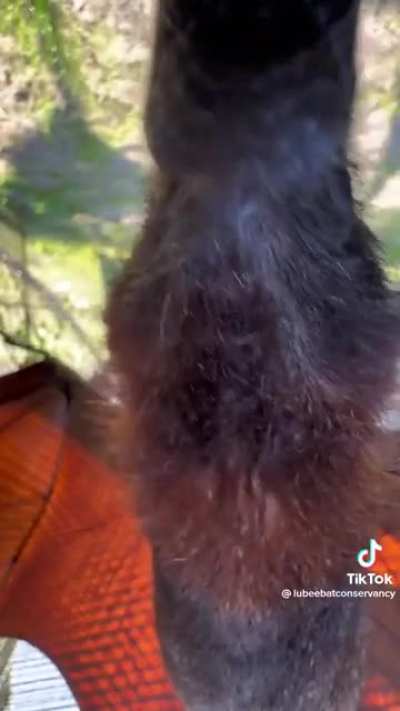 Sniff sniff sniff sniff sniff sniff sniff sniff sniff sniff sniff sniff sniff sniff sniff sniff sniff sniff sniff sniff sniff sniff sniff sniff sniff sniff sniff sniff sniff sniff sniff sniff sniff sniff sniff sniff sniff sniff sniff sniff sniff sniff sni