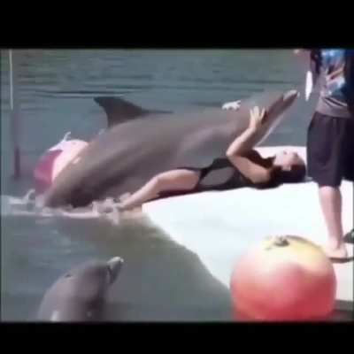 She enjoyed too