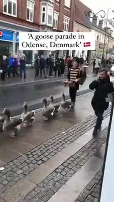 Have a gander at this ?