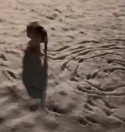 Marking his territory