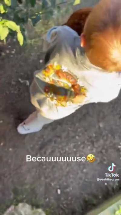 Don’t know if this has been shared before but it’s just so funny