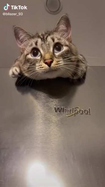 This is just way too cute