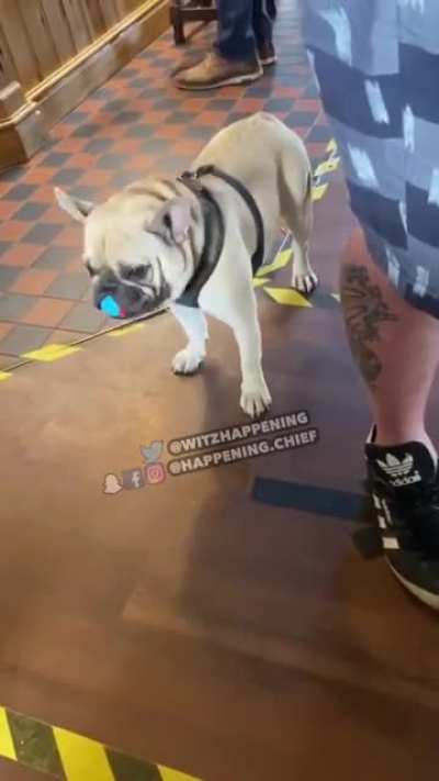 r/awwwtf