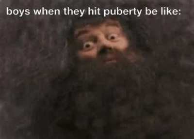 You're a harry wizard!
