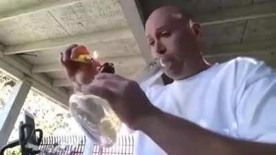 Bong rip of Carolina Reaper