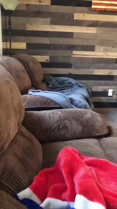 Derp makes a miscalculation