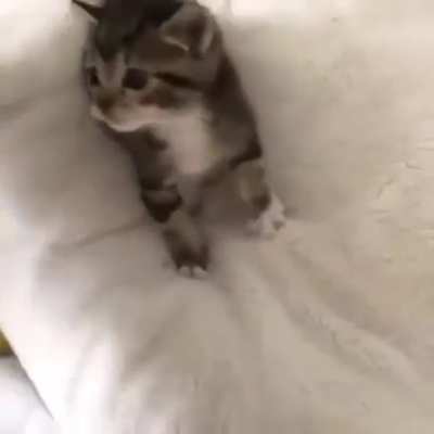He Scream