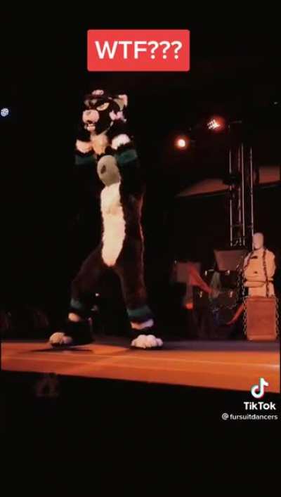 Had this furry video pop up on my fyp and I’m fucking gonna die ?