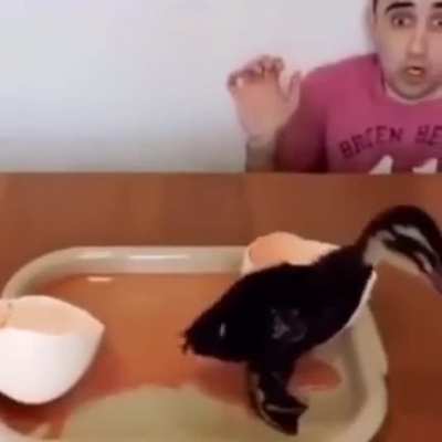 sorry babe no omelet tonight