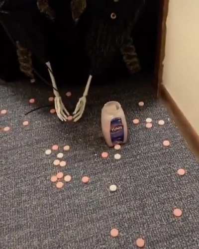 Maybe Maybe Maybe