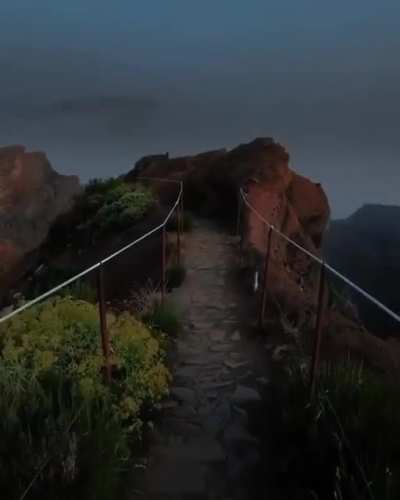 ? Ascending into the clouds ?