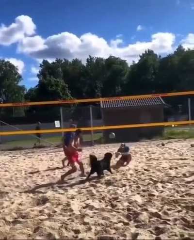 Maybe maybe maybe