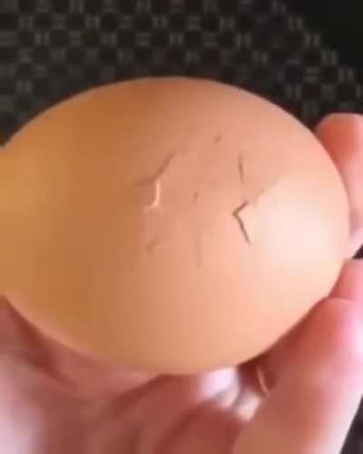 Look at what came out this egg!!