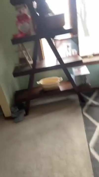 Wait for it…