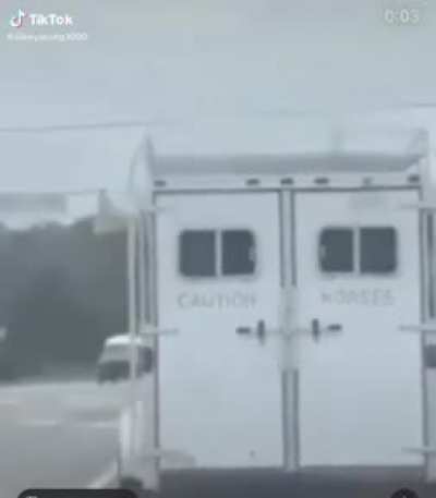 Caution: Horses!