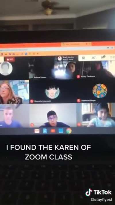 Karen infiltrates zoom meeting