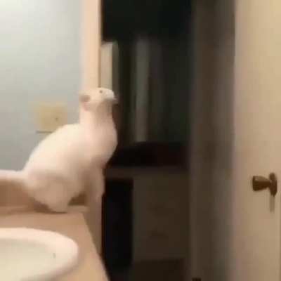 Jump