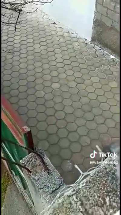 Wtf?