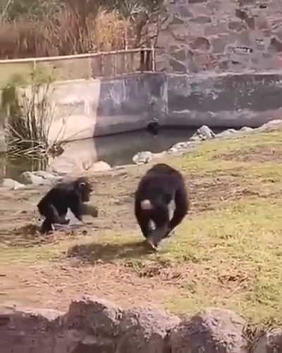 Hard Working Man